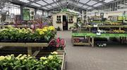HortWeek review 2025: Top 50 plants sold in garden centres - EPOS data 2025